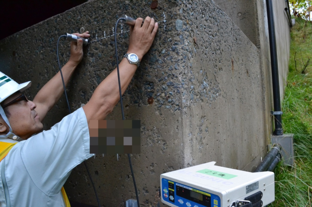 click to enlarge Photo 2 Surface scanning for frost damage diagnosis