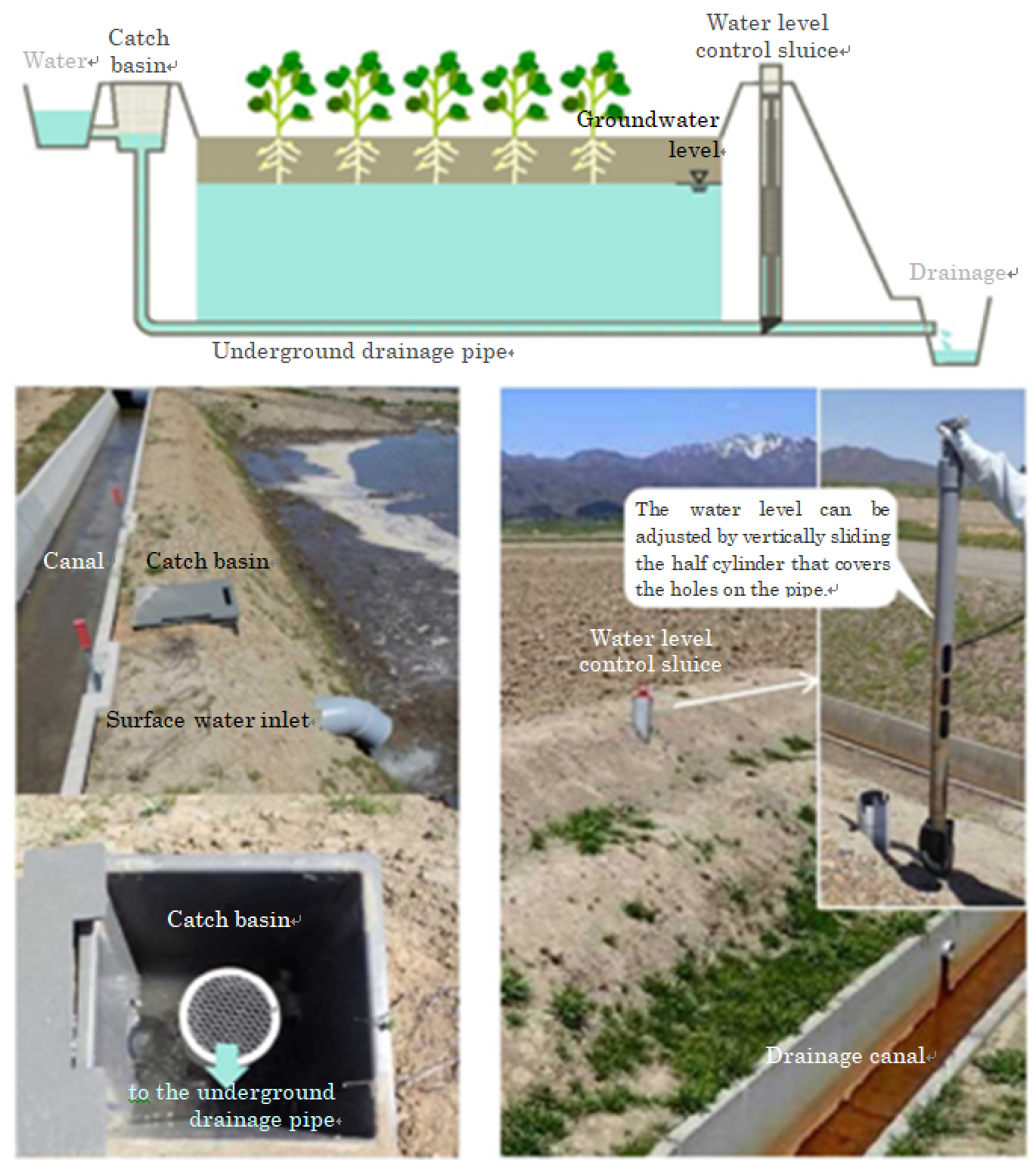 click to enlarge Figure 1. Overview of the groundwater level control system