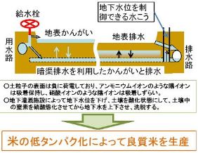 クリックすると拡大します
