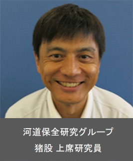 水工研究グループ 水理チーム 猪股主任研究員