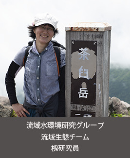 流域水環境研究グループ 流域生態チーム 槐 研究員