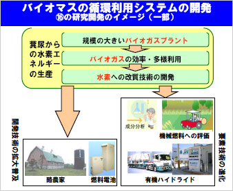 バイオマスの循環利用システムの開発