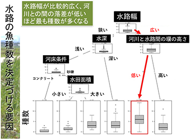 図.魚類種数を決定づける要因