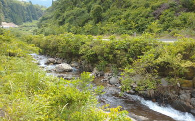 中小河川