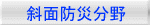 斜面防災分野