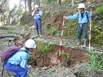 現地調査(地すべり亀裂)の様子